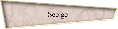 Seeigel