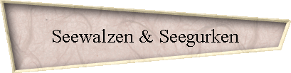 Seewalzen & Seegurken